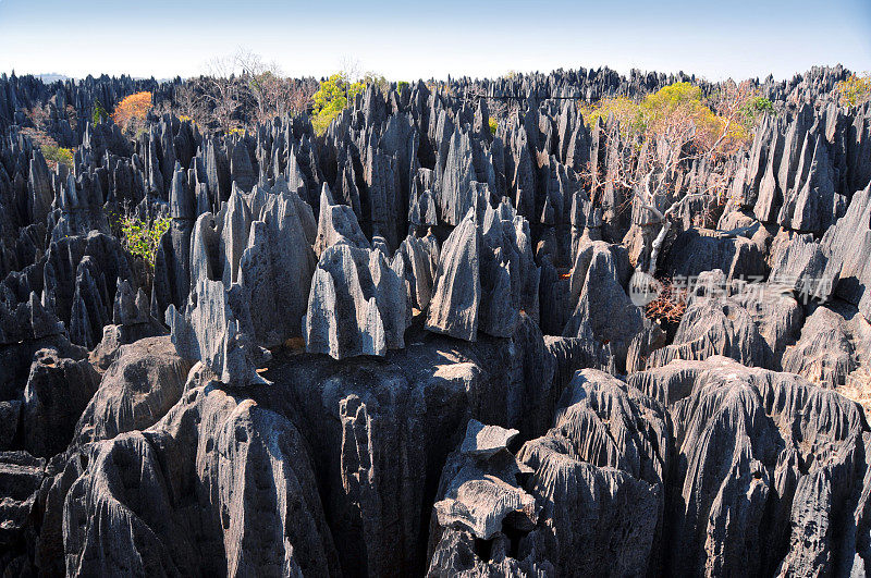 马达加斯加的Tsingy de Bemaraha石林